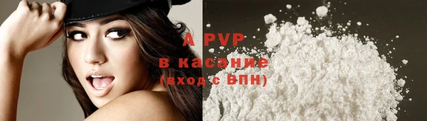 PSILOCYBIN Заволжск