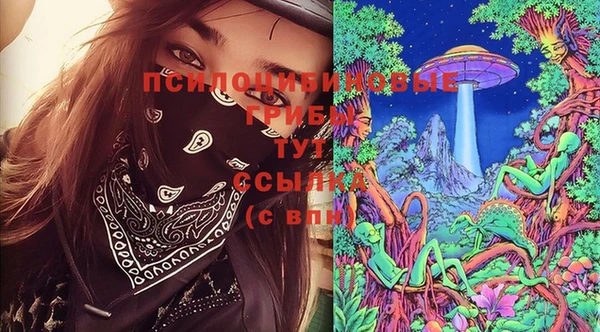 PSILOCYBIN Заволжск