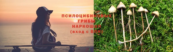 Альфа ПВП Навашино